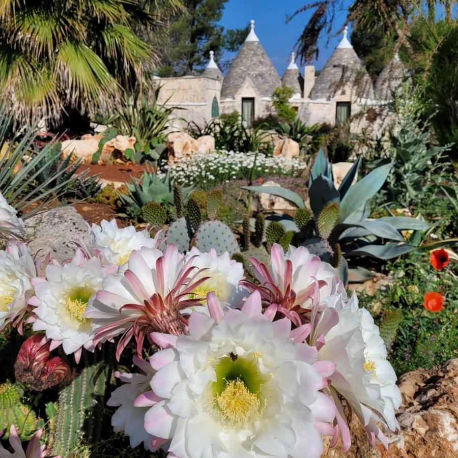 Trullo Bosco Libero Ostuni Villa Dış mekan fotoğraf