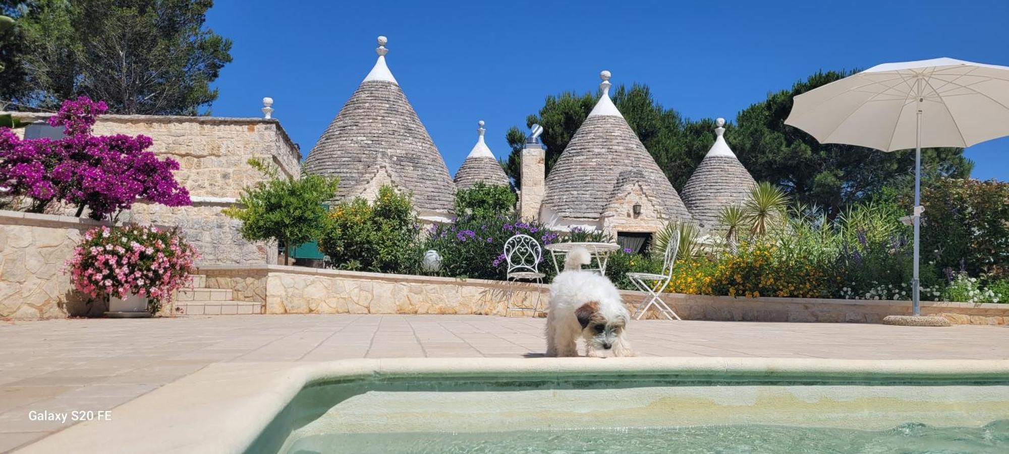 Trullo Bosco Libero Ostuni Villa Dış mekan fotoğraf