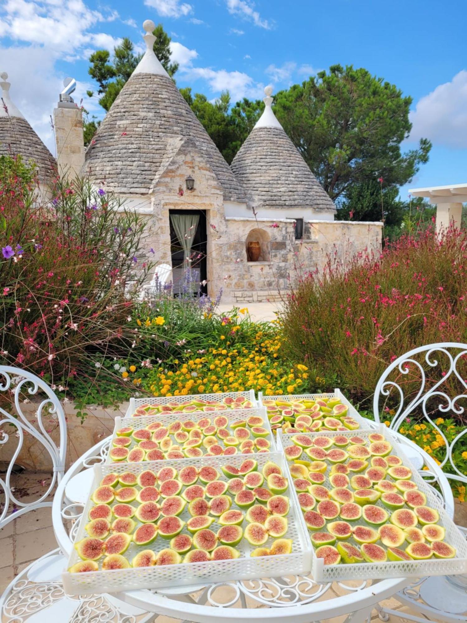 Trullo Bosco Libero Ostuni Villa Dış mekan fotoğraf