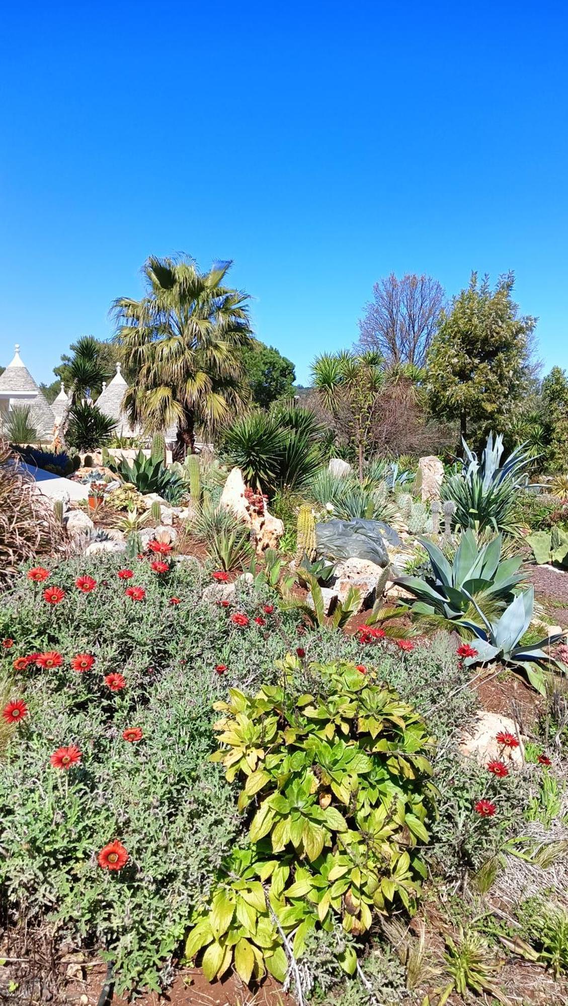 Trullo Bosco Libero Ostuni Villa Dış mekan fotoğraf