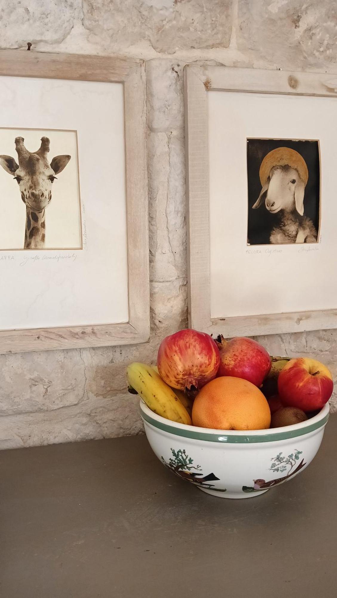 Trullo Bosco Libero Ostuni Villa Dış mekan fotoğraf